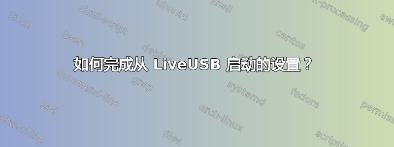 如何完成从 LiveUSB 启动的设置？