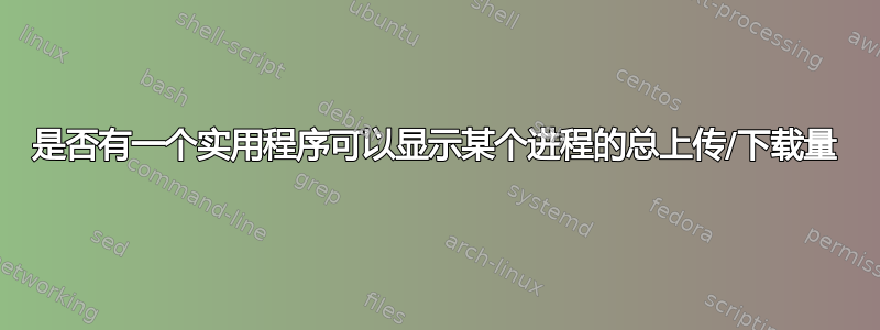 是否有一个实用程序可以显示某个进程的总上传/下载量