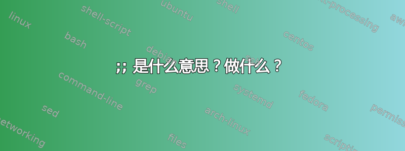 ;; 是什么意思？做什么？