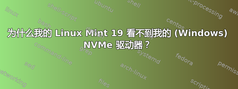 为什么我的 Linux Mint 19 看不到我的 (Windows) NVMe 驱动器？