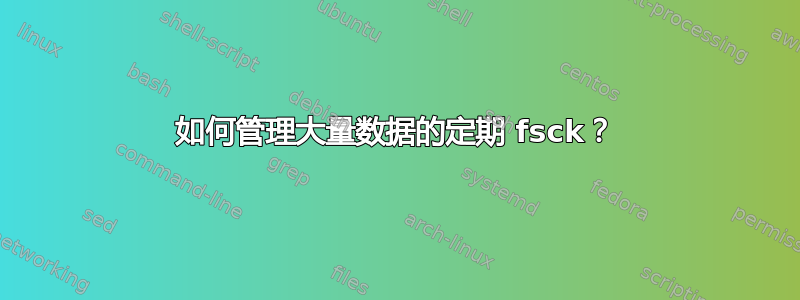 如何管理大量数据的定期 fsck？