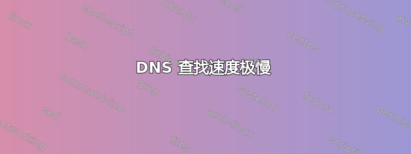 DNS 查找速度极慢