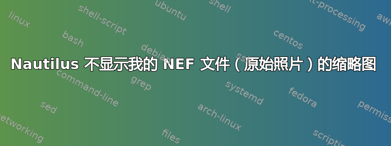 Nautilus 不显示我的 NEF 文件（原始照片）的缩略图