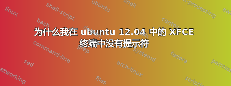 为什么我在 ubuntu 12.04 中的 XFCE 终端中没有提示符