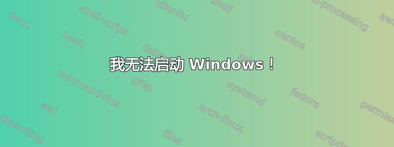 我无法启动 Windows！