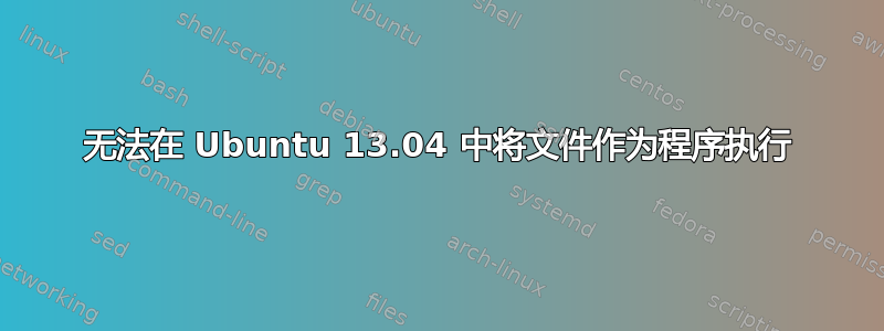 无法在 Ubuntu 13.04 中将文件作为程序执行