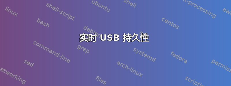 实时 USB 持久性