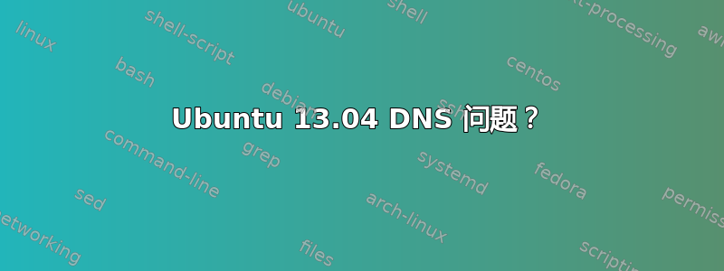 Ubuntu 13.04 DNS 问题？