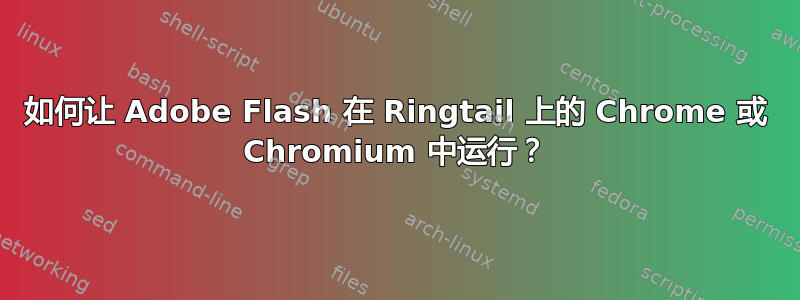 如何让 Adob​​e Flash 在 Ringtail 上的 Chrome 或 Chromium 中运行？