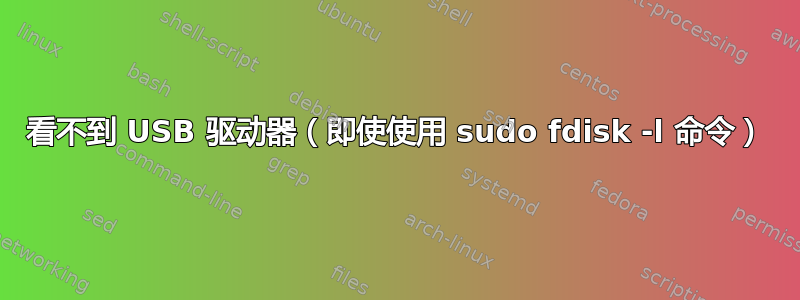 看不到 USB 驱动器（即使使用 sudo fdisk -l 命令）