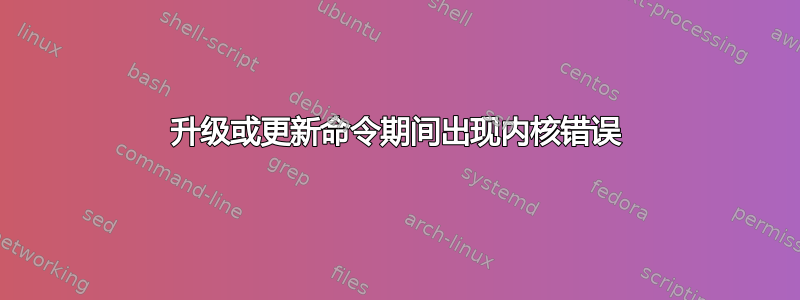 升级或更新命令期间出现内核错误