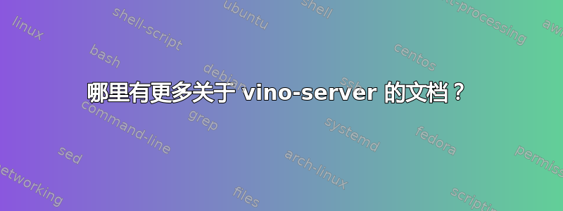 哪里有更多关于 vino-server 的文档？