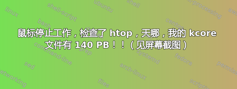 鼠标停止工作，检查了 htop，天哪，我的 kcore 文件有 140 PB！！（见屏幕截图）