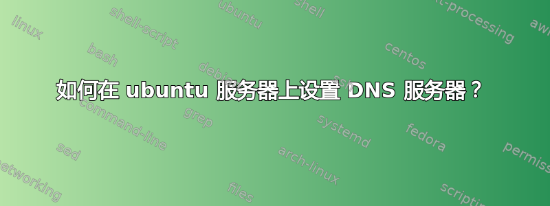 如何在 ubuntu 服务器上设置 DNS 服务器？