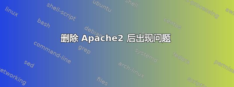 删除 Apache2 后出现问题