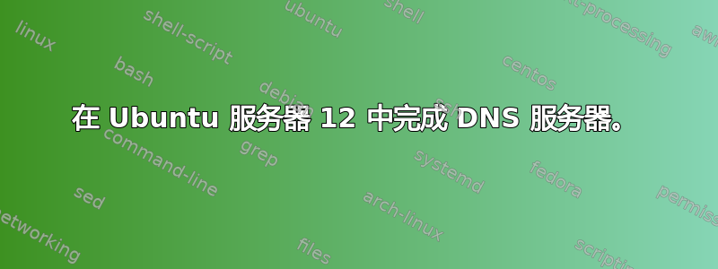 在 Ubuntu 服务器 12 中完成 DNS 服务器。