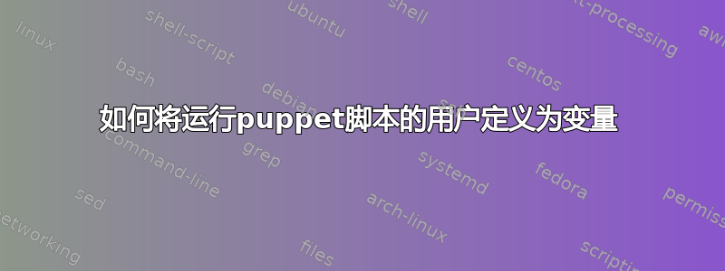 如何将运行puppet脚本的用户定义为变量