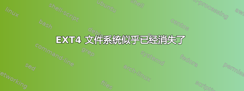 EXT4 文件系统似乎已经消失了