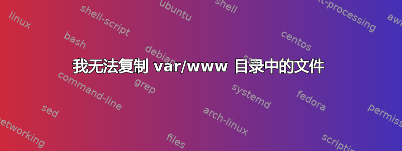 我无法复制 var/www 目录中的文件