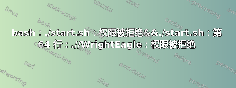 bash：./start.sh：权限被拒绝&&./start.sh：第 64 行：.//WrightEagle：权限被拒绝