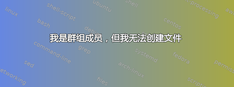 我是群组成员，但我无法创建文件