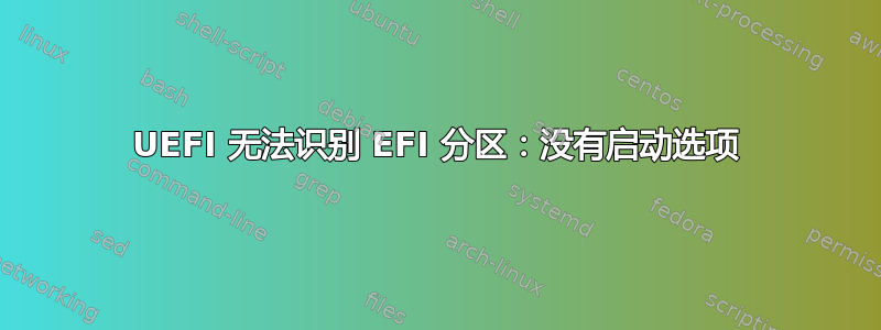 UEFI 无法识别 EFI 分区：没有启动选项