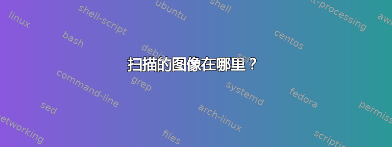 扫描的图像在哪里？