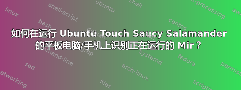 如何在运行 Ubuntu Touch Saucy Salamander 的平板电脑/手机上识别正在运行的 Mir？