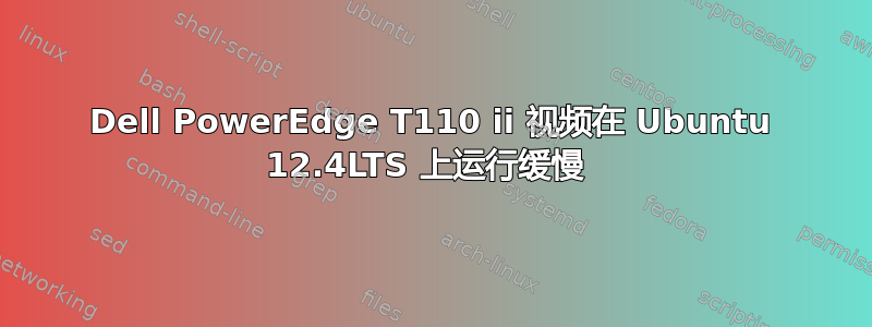 Dell PowerEdge T110 ii 视频在 Ubuntu 12.4LTS 上运行缓慢 