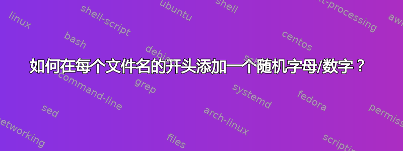 如何在每个文件名的开头添加一个随机字母/数字？