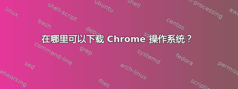 在哪里可以下载 Chrome 操作系统？