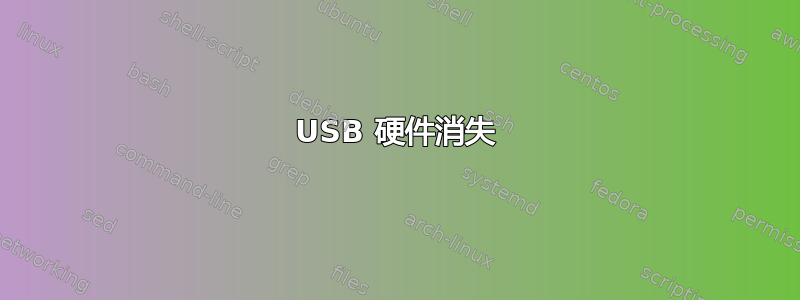 USB 硬件消失