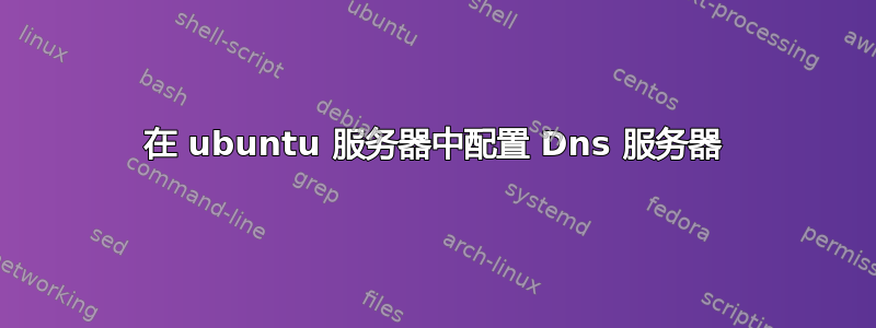 在 ubuntu 服务器中配置 Dns 服务器