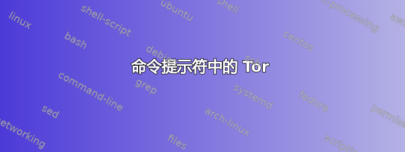 命令提示符中的 Tor