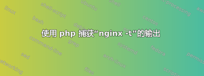 使用 php 捕获“nginx -t”的输出