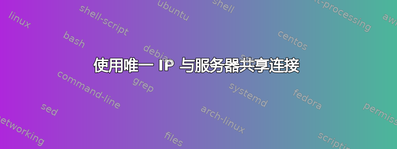 使用唯一 IP 与服务器共享连接