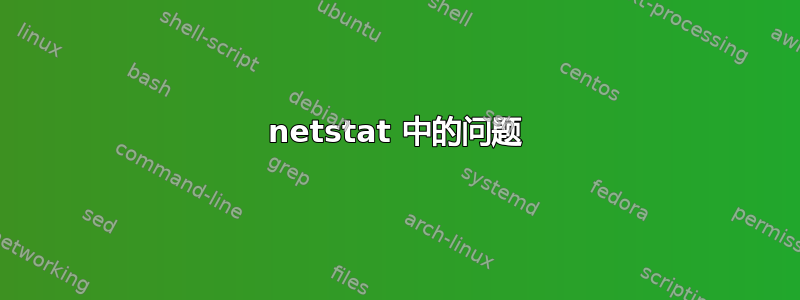 netstat 中的问题