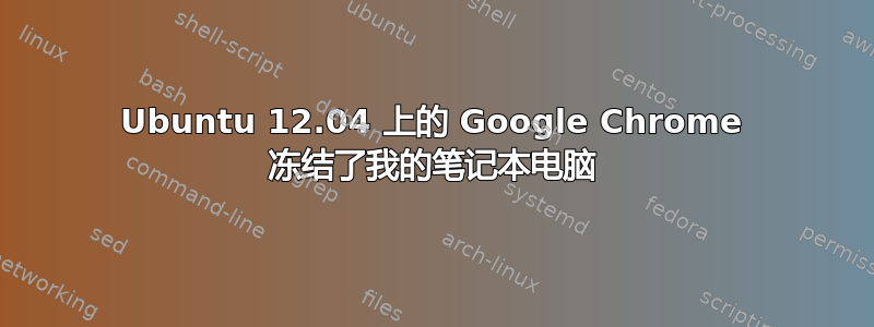 Ubuntu 12.04 上的 Google Chrome 冻结了我的笔记本电脑