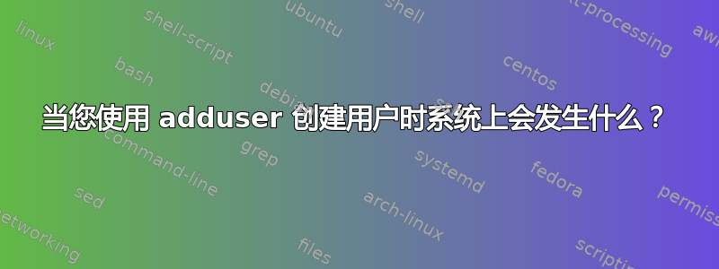 当您使用 adduser 创建用户时系统上会发生什么？