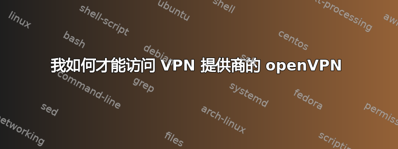 我如何才能访问 VPN 提供商的 openVPN