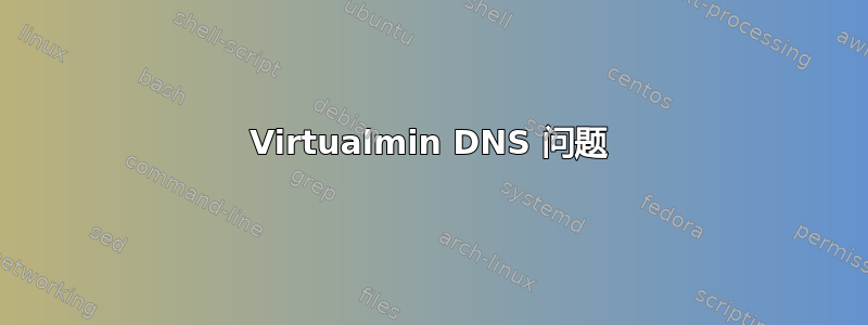 Virtualmin DNS 问题