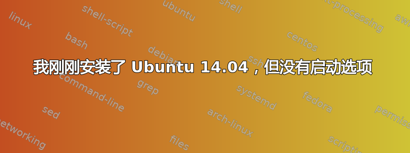 我刚刚安装了 Ubuntu 14.04，但没有启动选项