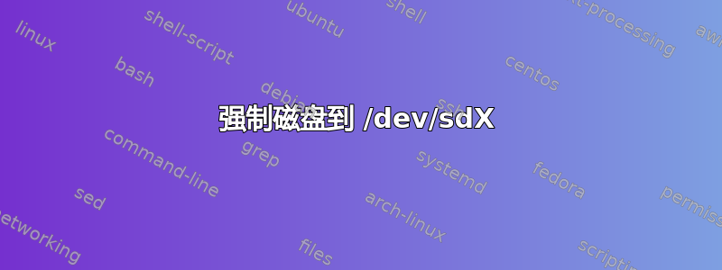 强制磁盘到 /dev/sdX