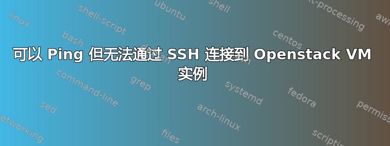 可以 Ping 但无法通过 SSH 连接到 Openstack VM 实例