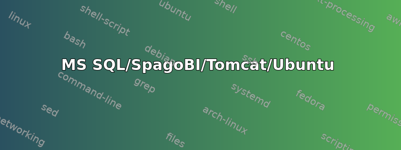 MS SQL/SpagoBI/Tomcat/Ubuntu