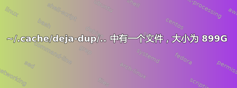 ~/.cache/deja-dup/.. 中有一个文件，大小为 899G