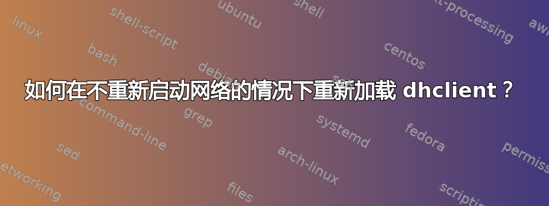 如何在不重新启动网络的情况下重新加载 dhclient？