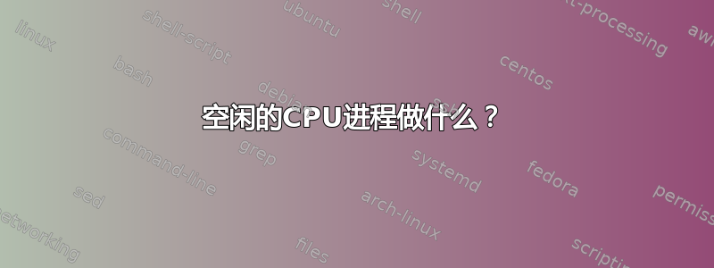 空闲的CPU进程做什么？