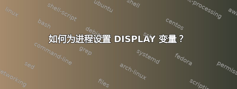 如何为进程设置 DISPLAY 变量？