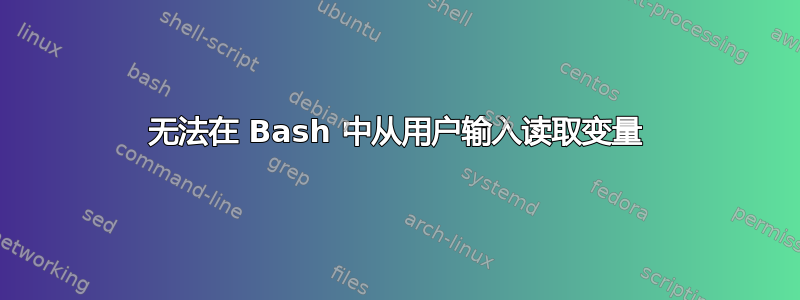 无法在 Bash 中从用户输入读取变量